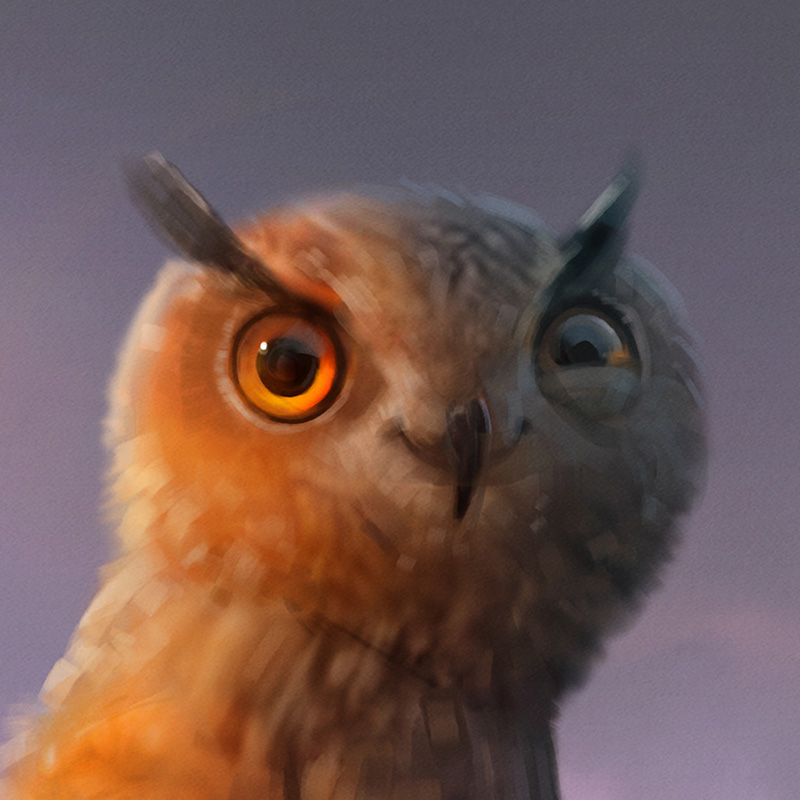 Zoo la Garenne campagne de communication illustration hibou