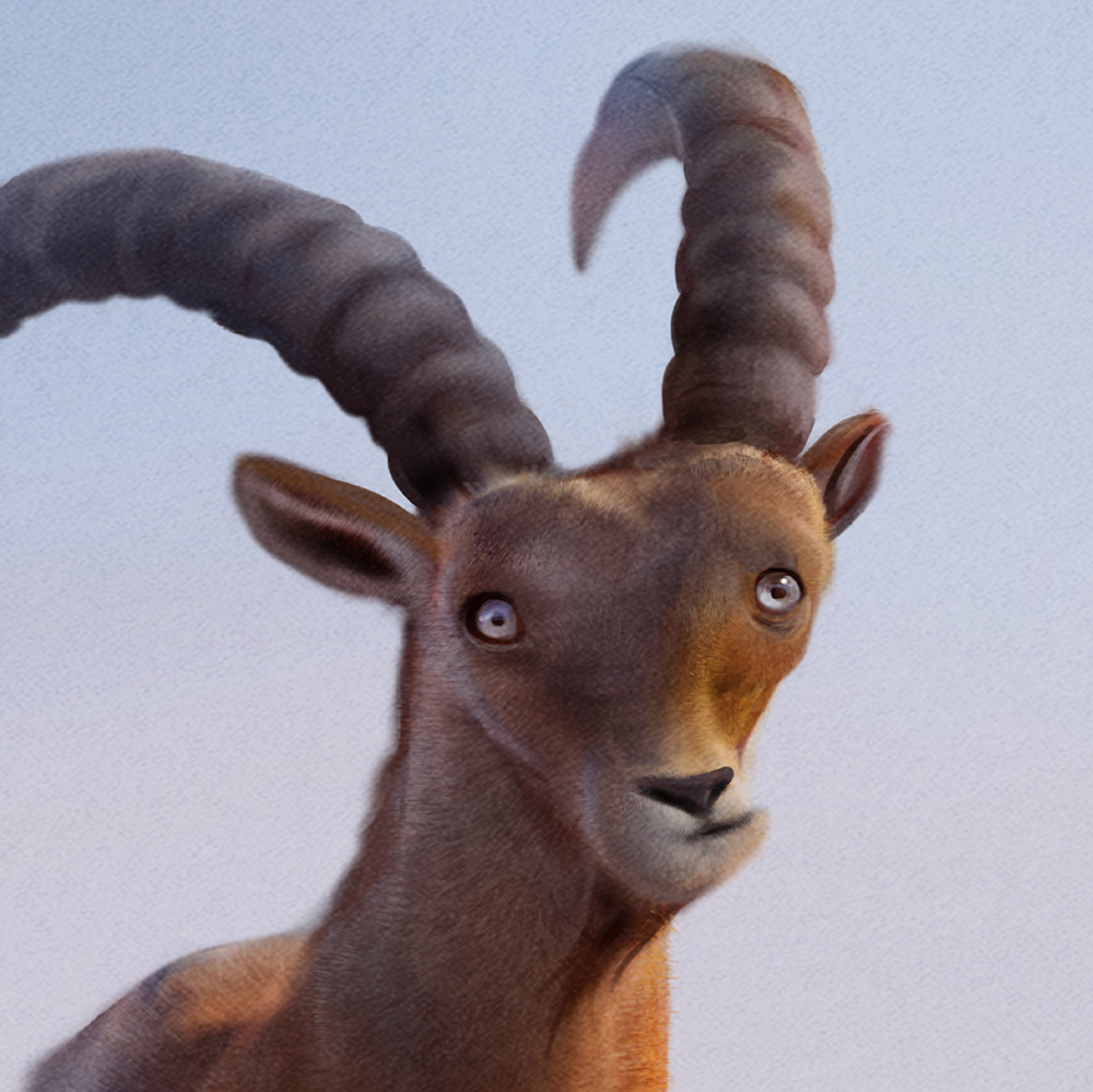 Zoo la Garenne campagne de communication illustration bouquetin