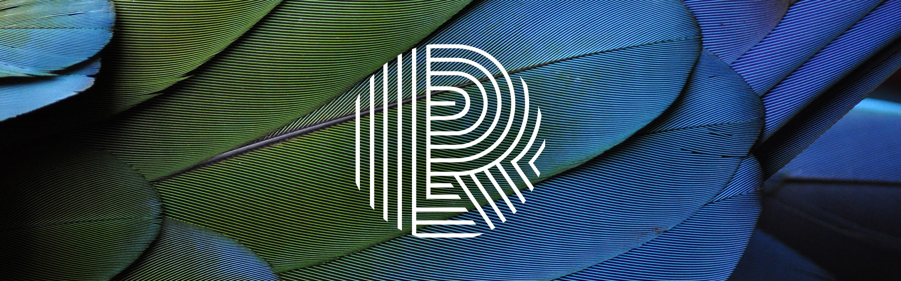 Laura Riem branding et web design banner