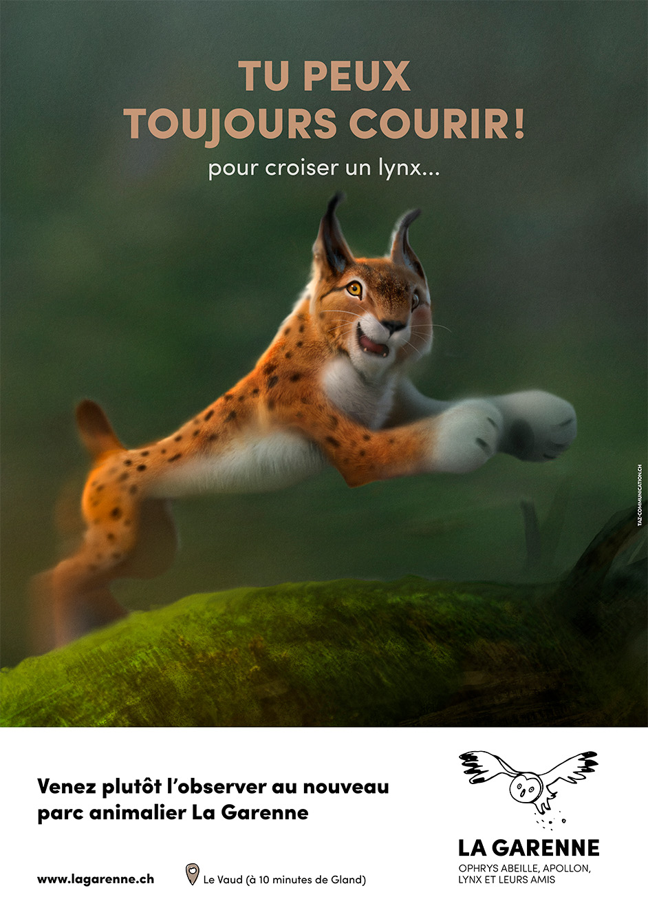 Zoo la Garenne campagne de communication concept lynx