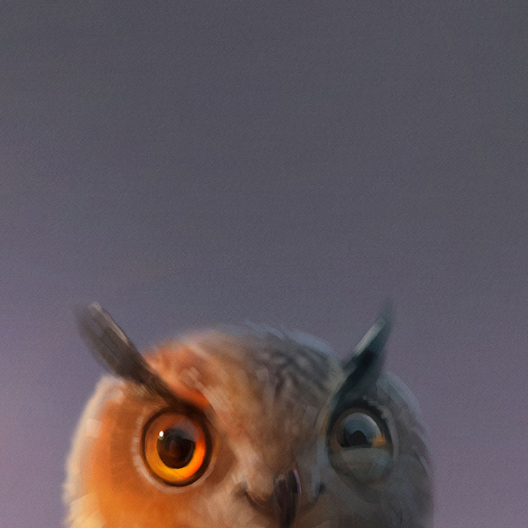 Zoo la Garenne campagne de communication visuel hibou