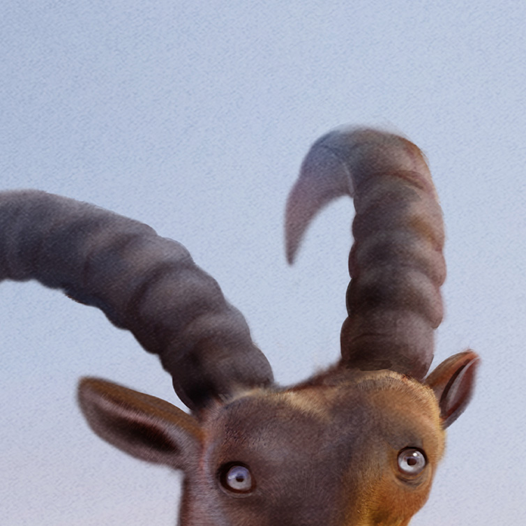 Zoo la Garenne campagne de communication visuel bouquetin