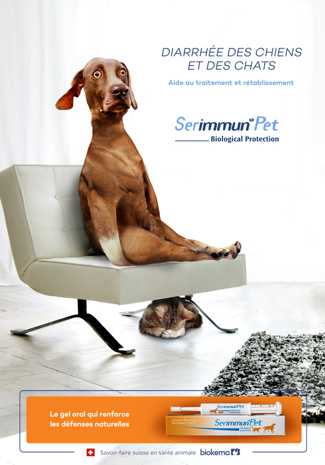 Concept de communication Serrimun Pet Biokema