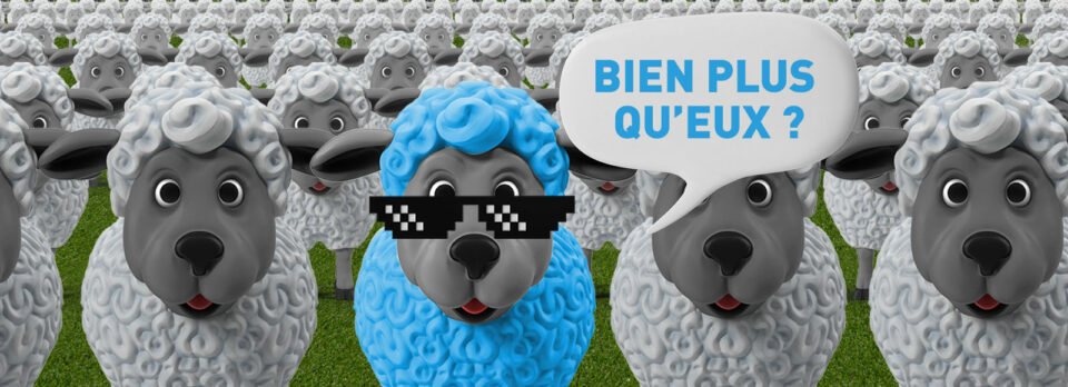 banniere moutons identiques bien plus que