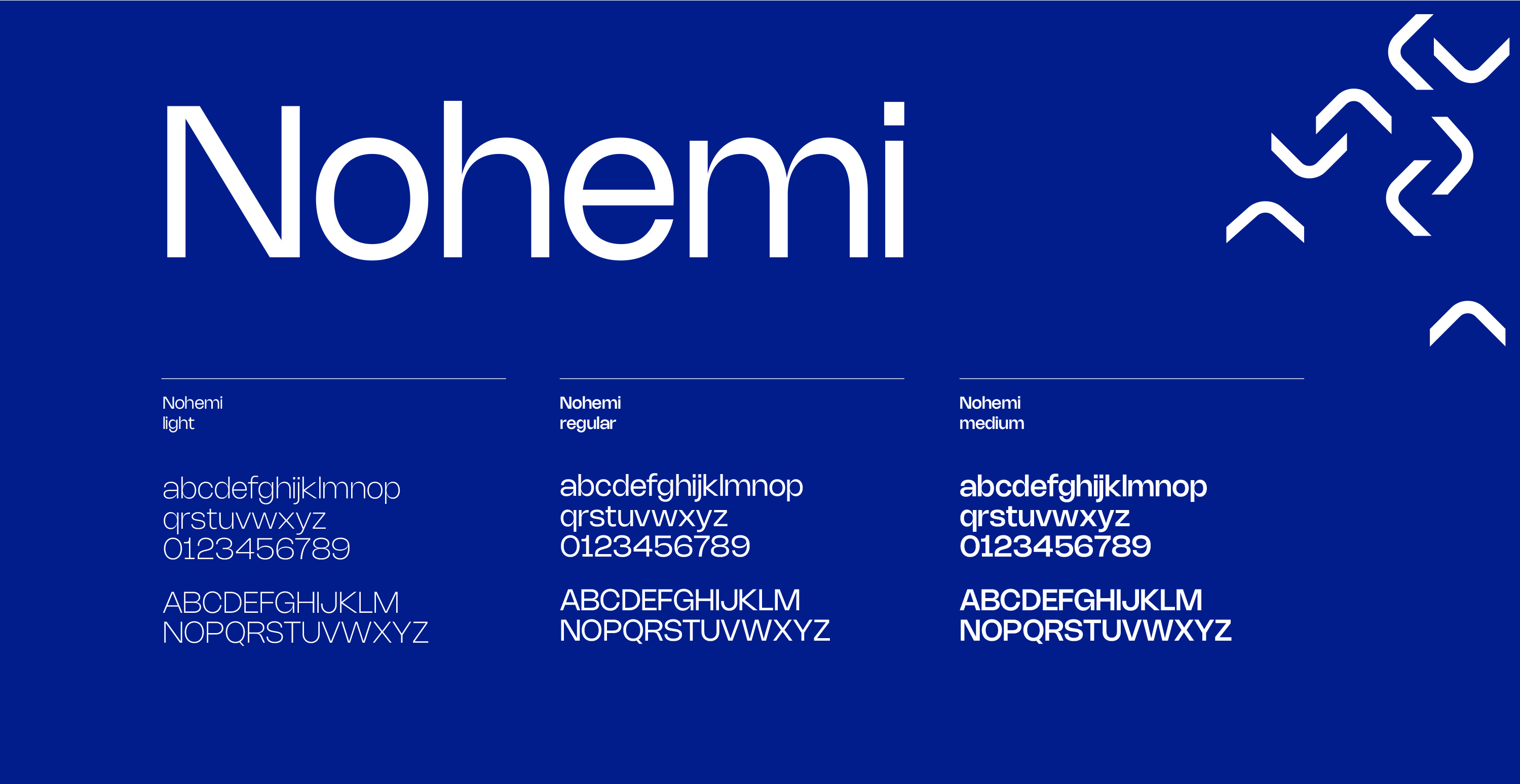 oxalys branding 01 typographie